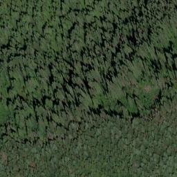 Satellite imagery of Elizabeth Ridge, US