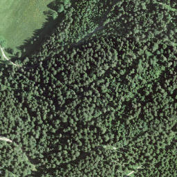 Satellite imagery of BFN154, CH