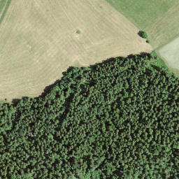 Satellite imagery of Signal des Français, CH