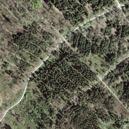 Satellite imagery of Könizbergwald, CH