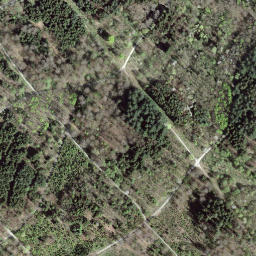 Satellite imagery of Könizbergwald, CH