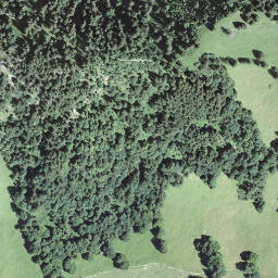Satellite imagery of Blatti, CH