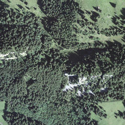 Satellite imagery of Bachscheitistock, CH