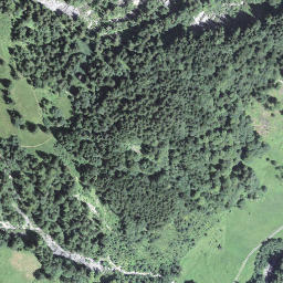 Satellite imagery of Haseneggli, CH