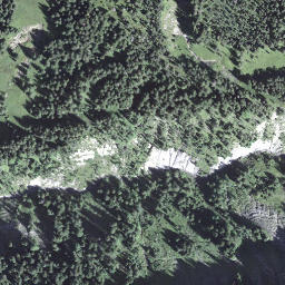 Satellite imagery of Rossgrabenegg, CH