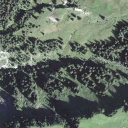 Satellite imagery of Faulberg, CH