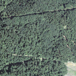 Satellite imagery of Gross Stelli, CH