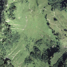 Satellite imagery of Rophaien, CH
