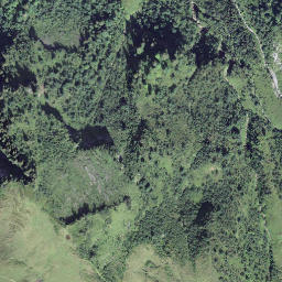 Satellite imagery of Firtiggrätli, CH