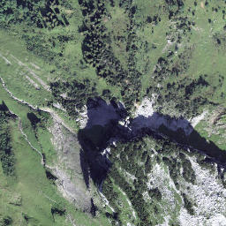 Satellite imagery of Firtiggrätli, CH