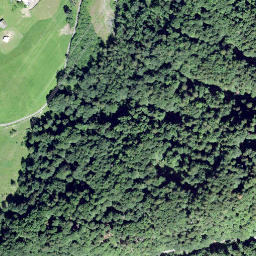 Satellite imagery of Chlosteregg, CH