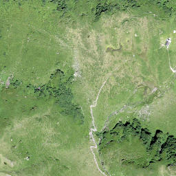 Satellite imagery of Fätschenhorn, CH