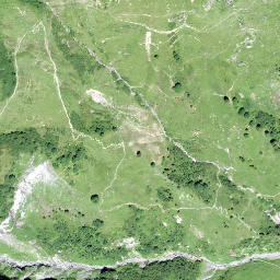 Satellite imagery of Riebengrat, CH