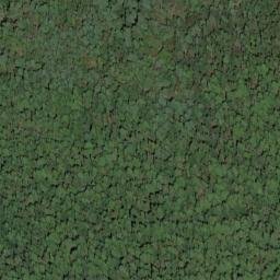 Satellite imagery of Elizabeth Ridge, US