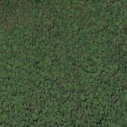 Satellite imagery of Elizabeth Ridge, US