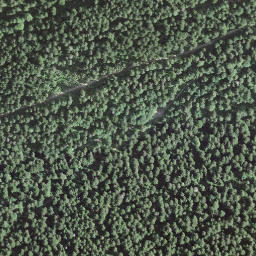 Satellite imagery of borNE-VD.65, IT
