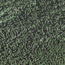 Satellite imagery of borNE-VD.66, IT