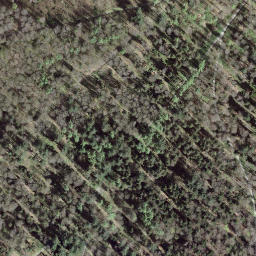 Satellite imagery of Könizbergwald, CH