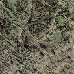 Satellite imagery of Könizbergwald, CH