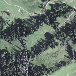 Satellite imagery of Torfflue, CH