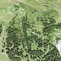 Satellite imagery of Rappenstein, CH