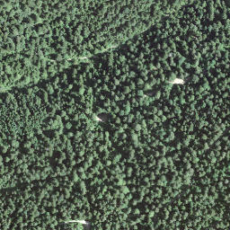Satellite imagery of BFN154, CH