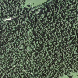Satellite imagery of BFN154, CH