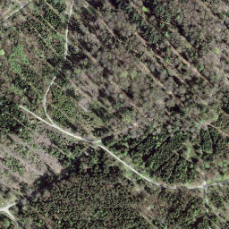 Satellite imagery of Könizbergwald, CH