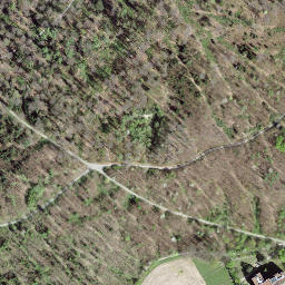 Satellite imagery of Könizbergwald, CH