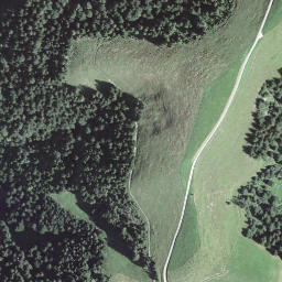 Satellite imagery of Bockshorn, CH