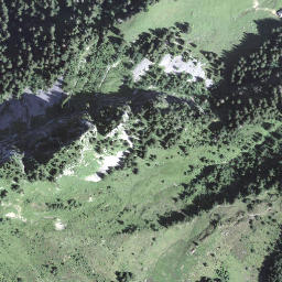 Satellite imagery of Torfflue, CH