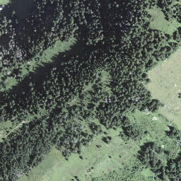 Satellite imagery of Torfflue, CH