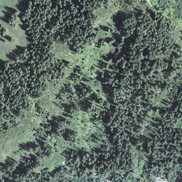 Satellite imagery of Spicheregg, CH