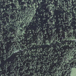 Satellite imagery of Falhörnli, CH