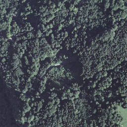 Satellite imagery of Wandflue, CH