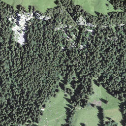 Satellite imagery of Hermisegg, CH