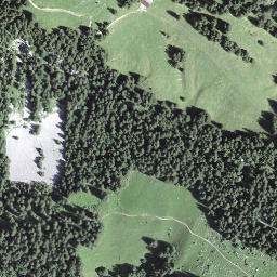 Satellite imagery of Bärenfallen, CH
