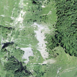 Satellite imagery of Waldistöck, CH