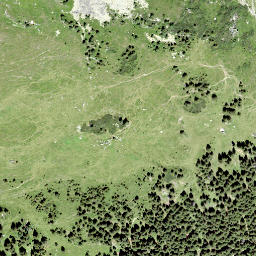 Satellite imagery of Sardonaalp, CH