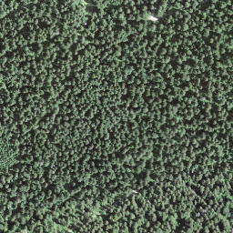 Satellite imagery of BFN155, CH