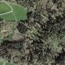 Satellite imagery of Gurten, CH