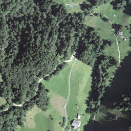 Satellite imagery of Bärgli, CH