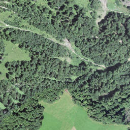 Satellite imagery of Scheidegg, CH