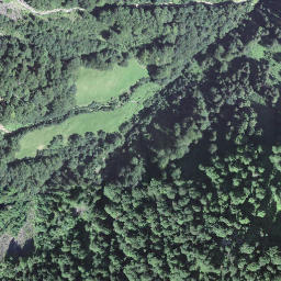 Satellite imagery of Scheidegg, CH