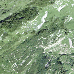 Satellite imagery of Vorder Chinzerberg, CH