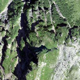 Satellite imagery of Bützistock, CH