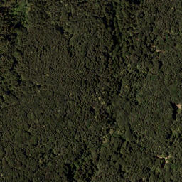 Satellite imagery of Brandriegel, AT