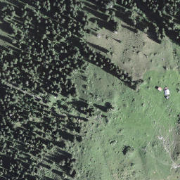 Satellite imagery of Scheidegg, CH