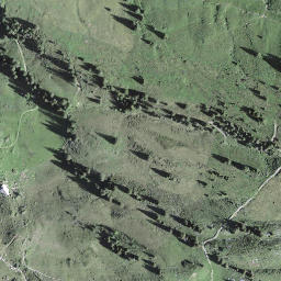 Satellite imagery of Scheidegg, CH