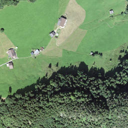 Satellite imagery of Scheidegg, CH